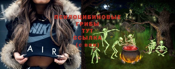 спайс Абаза