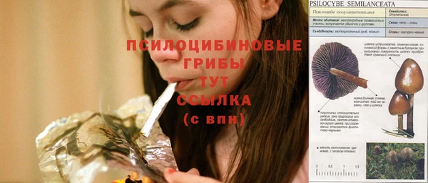 спайс Абаза