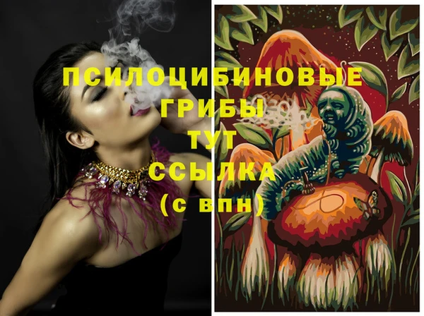 спайс Абаза