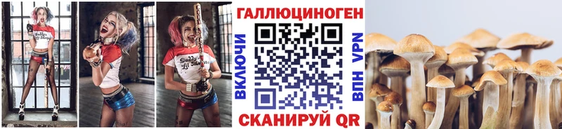 Псилоцибиновые грибы MAGIC MUSHROOMS  как найти наркотики  Зеленодольск 
