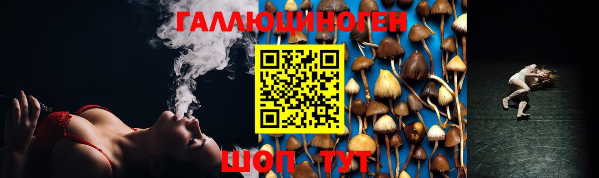 Зеленодольск  Псилоцибиновые грибы ЛСД  Вход с VPN 